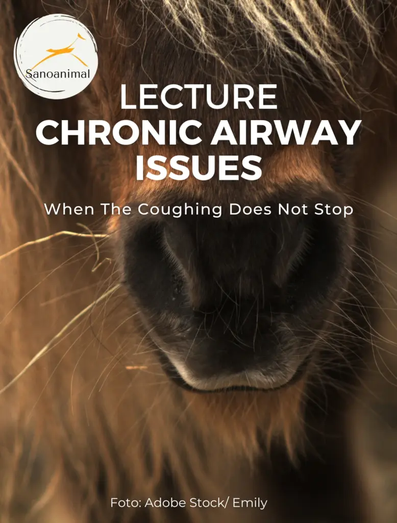 Lecture Chronic Airway Issues
