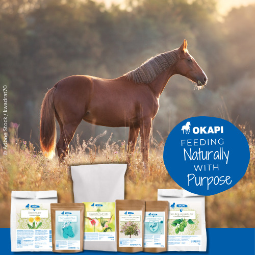 Okapi - Feeding naturally with purpose