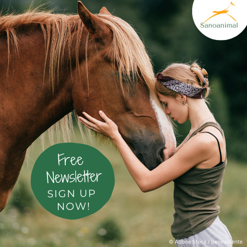 Free Newsletter. Sign up now!