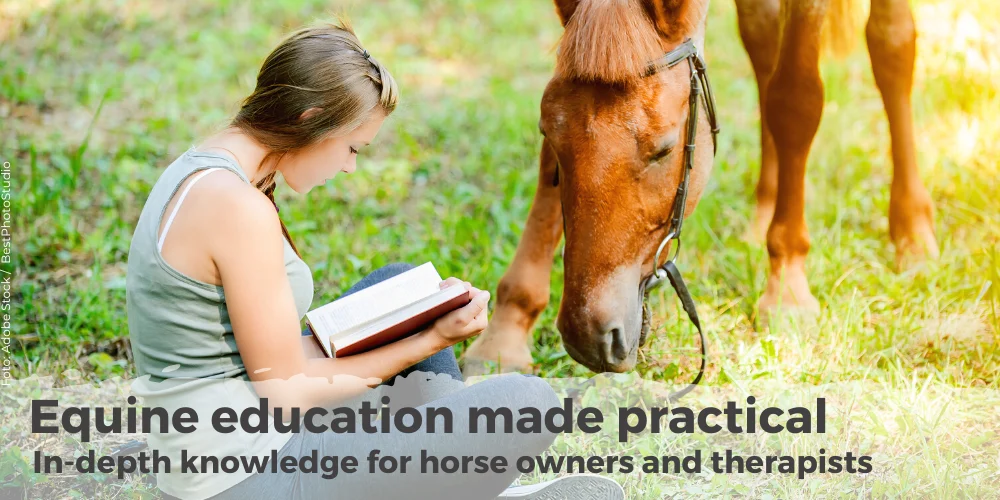 Equine education made practical. In-depth knowledge for horse owners and therapists
